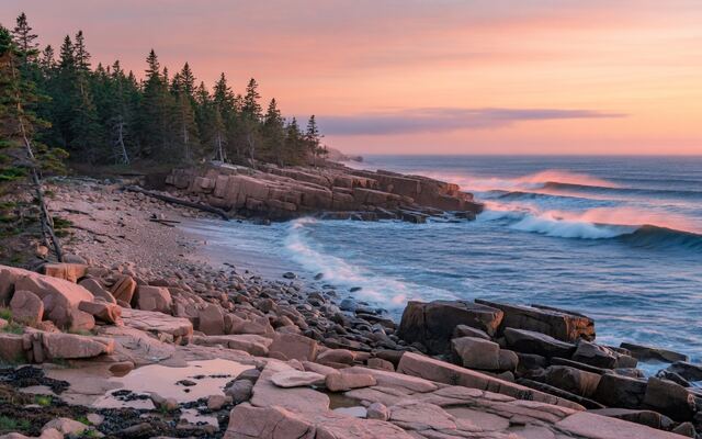 Pink granite Maine shoreline and spruce trees at sunrise